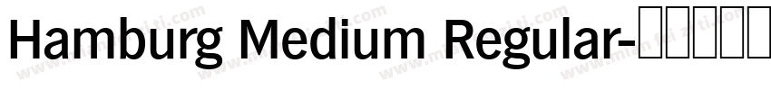 Hamburg Medium Regular字体转换